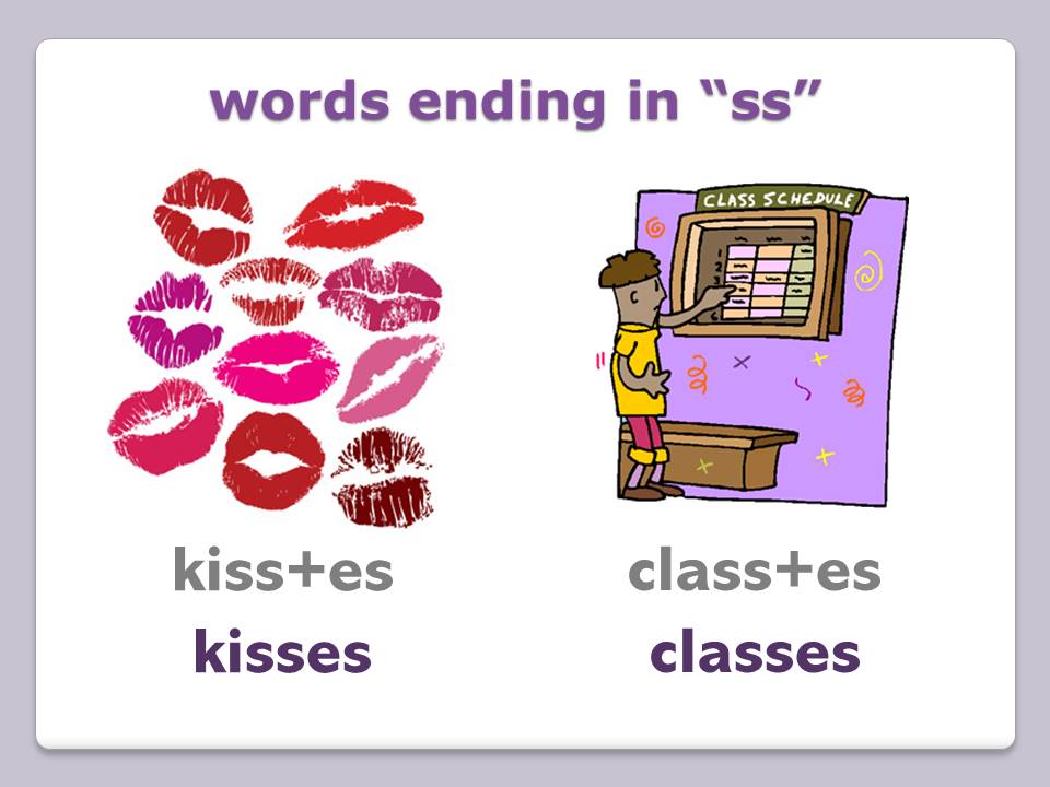 Plural Nouns: add -es to words ending in ch, sh, s, ss and x - box seat