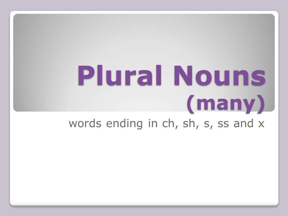 Plural Nouns Add Es To Words Ending In Ch Sh S Ss And X Box Seat Experiments